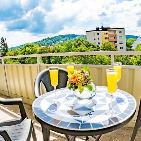 Eleonoras In Stadt Am Park Mit Balkon Inklusive Eigenen Parkplaetzen Vor Der Tuer Вюрцбург