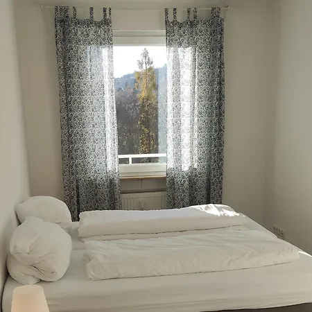 Апартаменты Eleonoras In Stadt Am Park Mit Balkon Inklusive Eigenen Parkplaetzen Vor Der Tuer *
